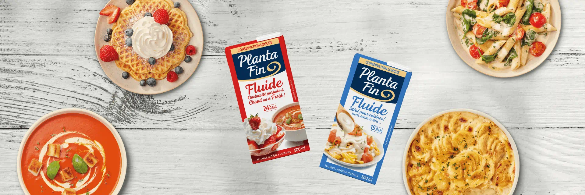 Planta Fin Fluide